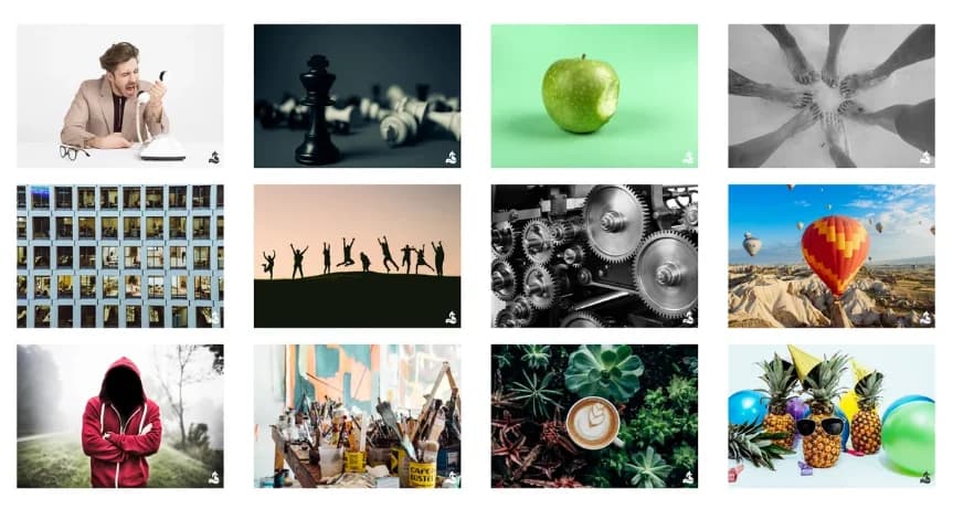 deep pictures "ZusammenWachsen"