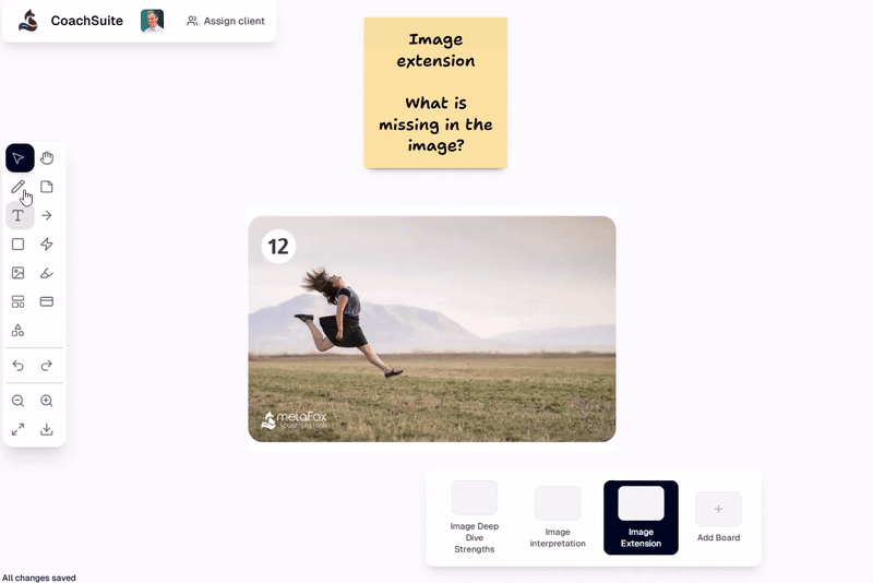Vision Picture Coaching Tool Demonstration